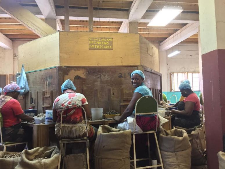 grenada-spice-distribution